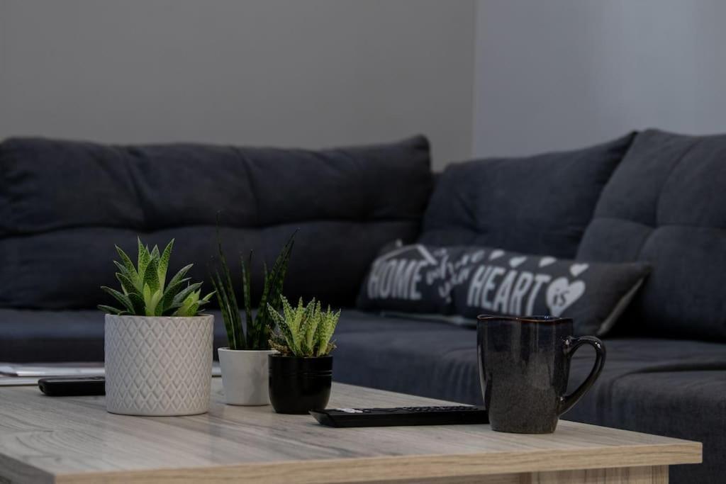 * Ck Modern Loft Near Seaside * Apartment *